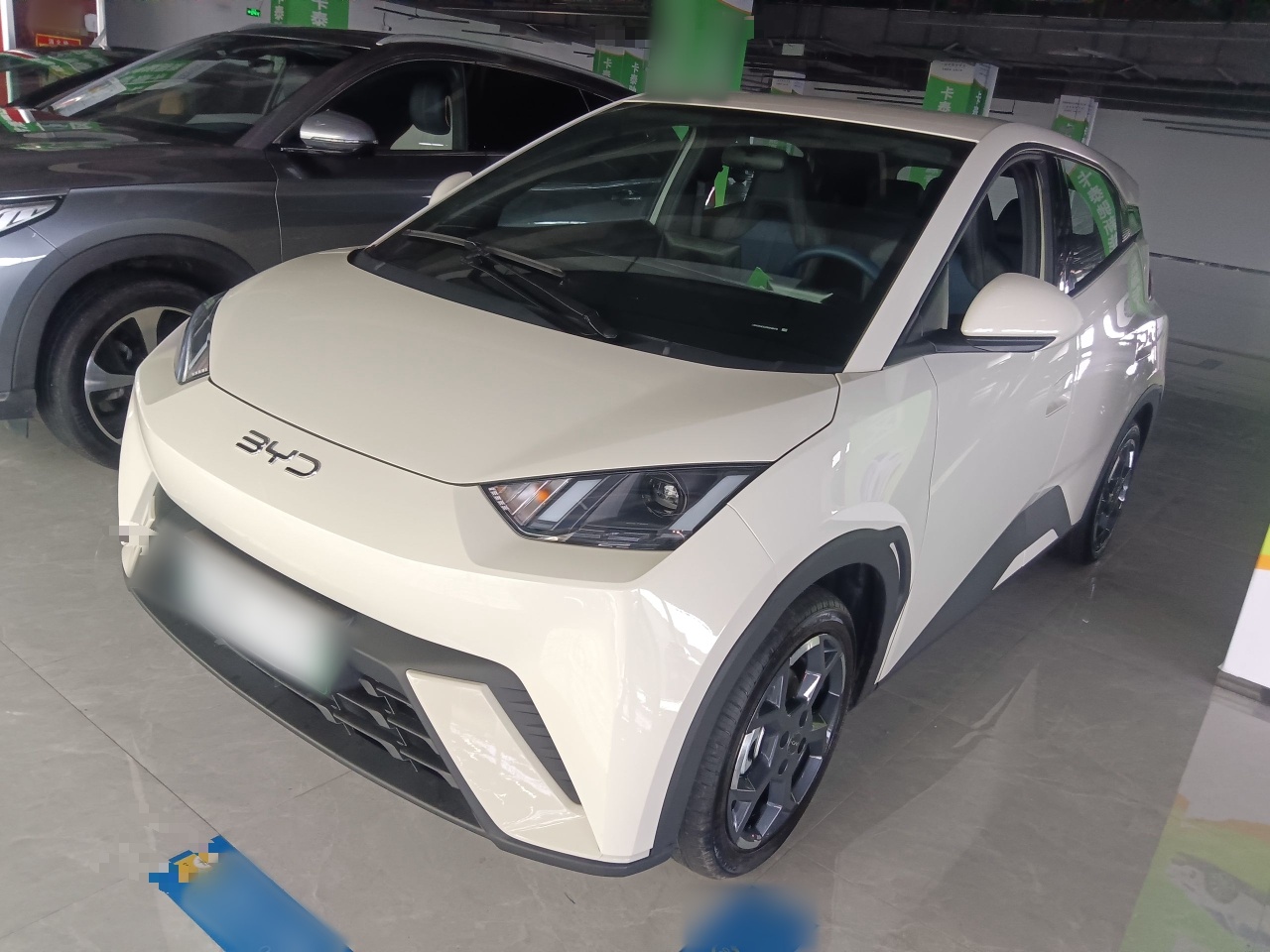 Parte inferior delantera