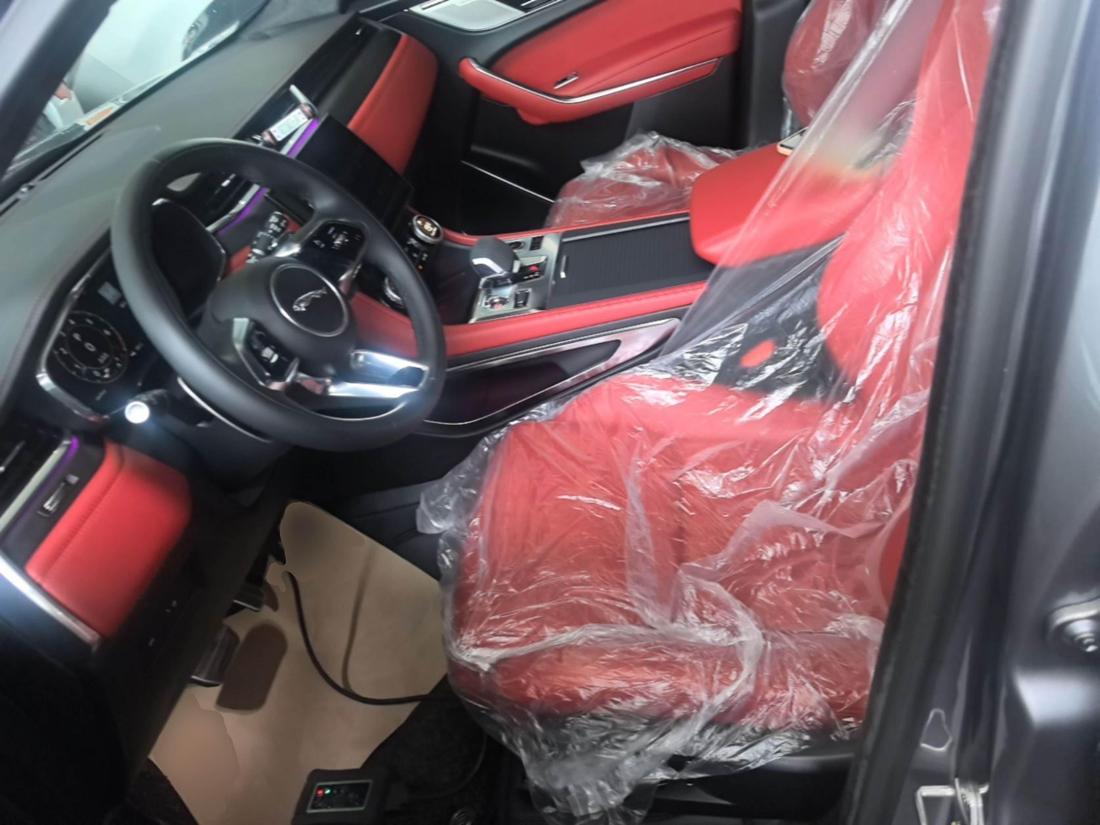 Interior delantero