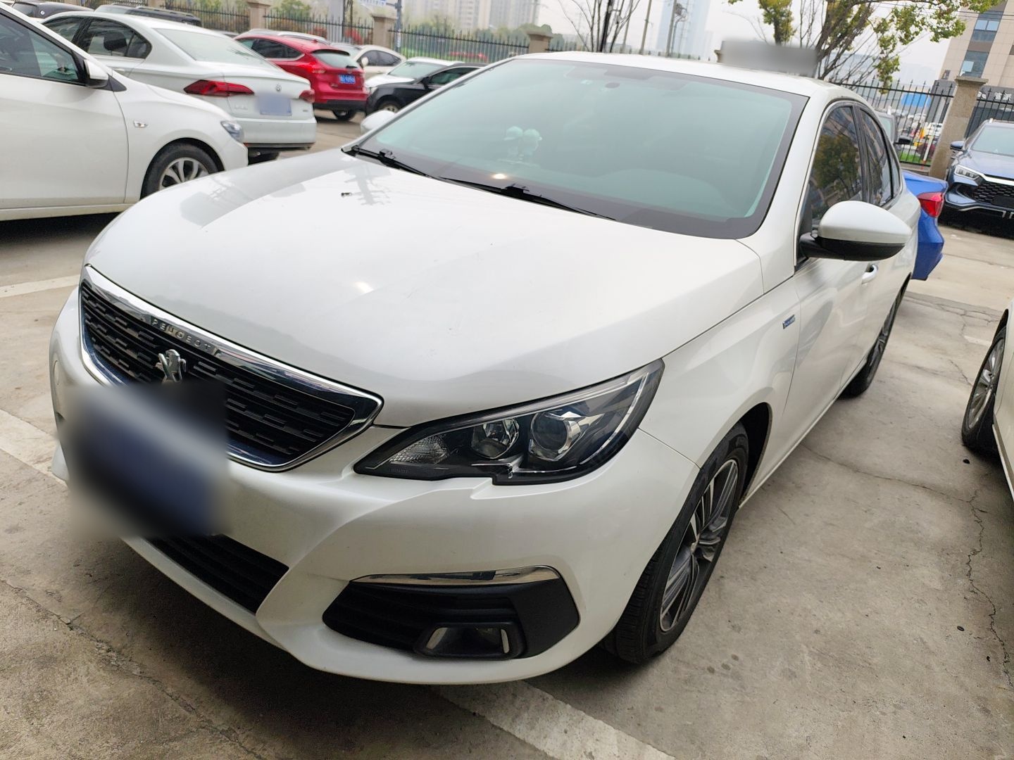 Parte inferior delantera