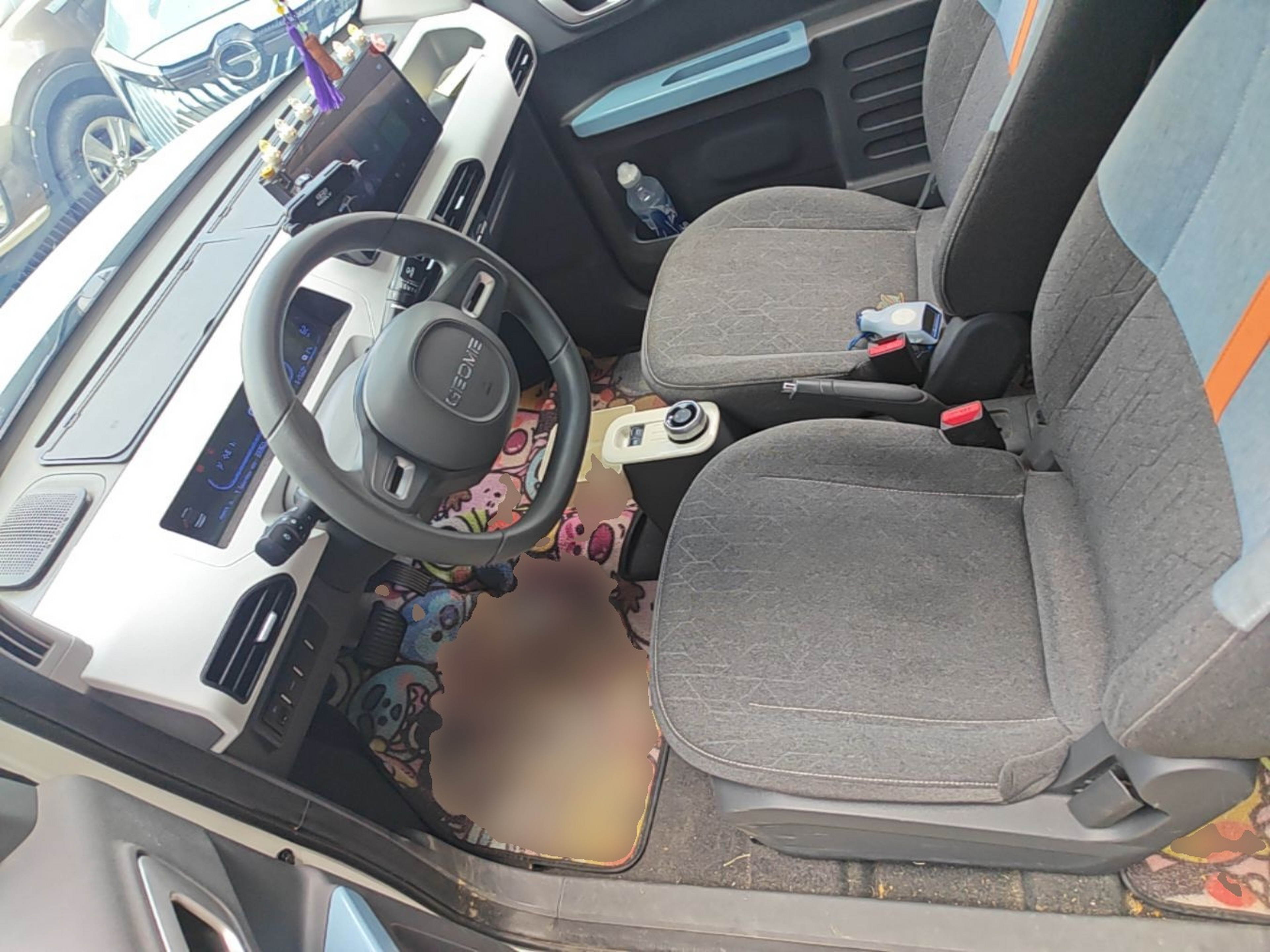 Interior delantero