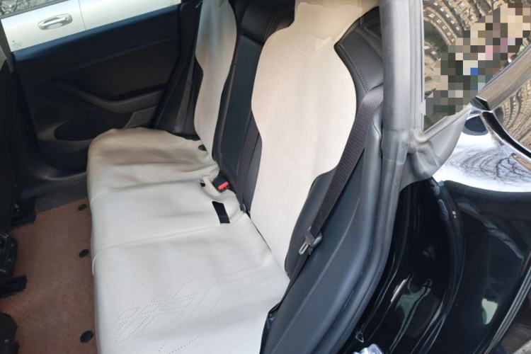 Used Tesla Model 3 2022 Rear-Wheel-Drive Version Left Rear Seat