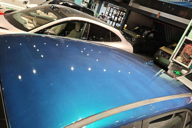 Used Dayun Yuehu 2021 32.85 kWh Two-Wheel-Drive Sprite Version
