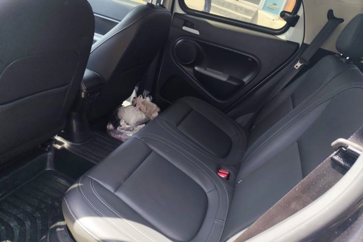 Used ORA Black Cat 2019 351 km Family Edition