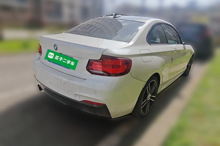 Used BMW 2 Series (Import) 2019 225i Luxury Model with M Sport Package