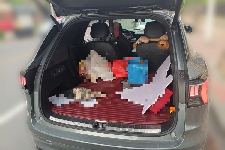 Used Lynk & Co 09 EM-P 2021 2.0T PHEV Halo Six-Seater
