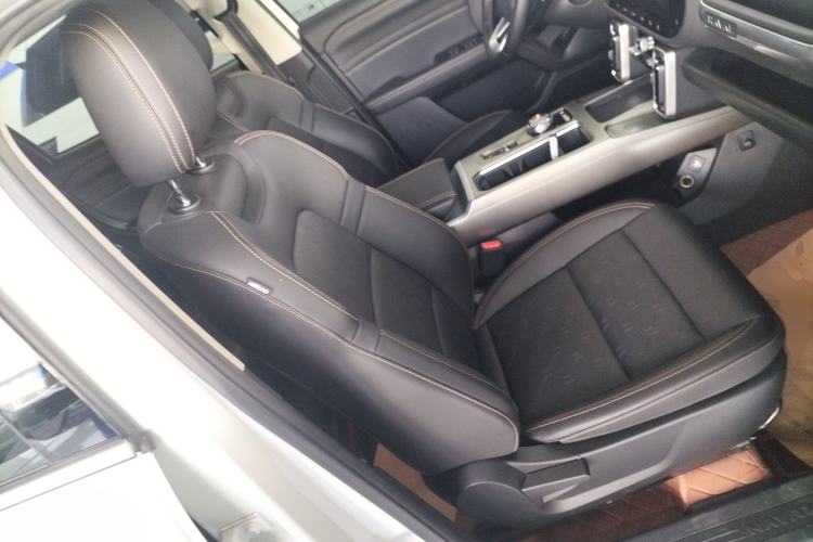 Used Haval DARGO 2024 2.0T DCT Chinese Rural Dog Edition