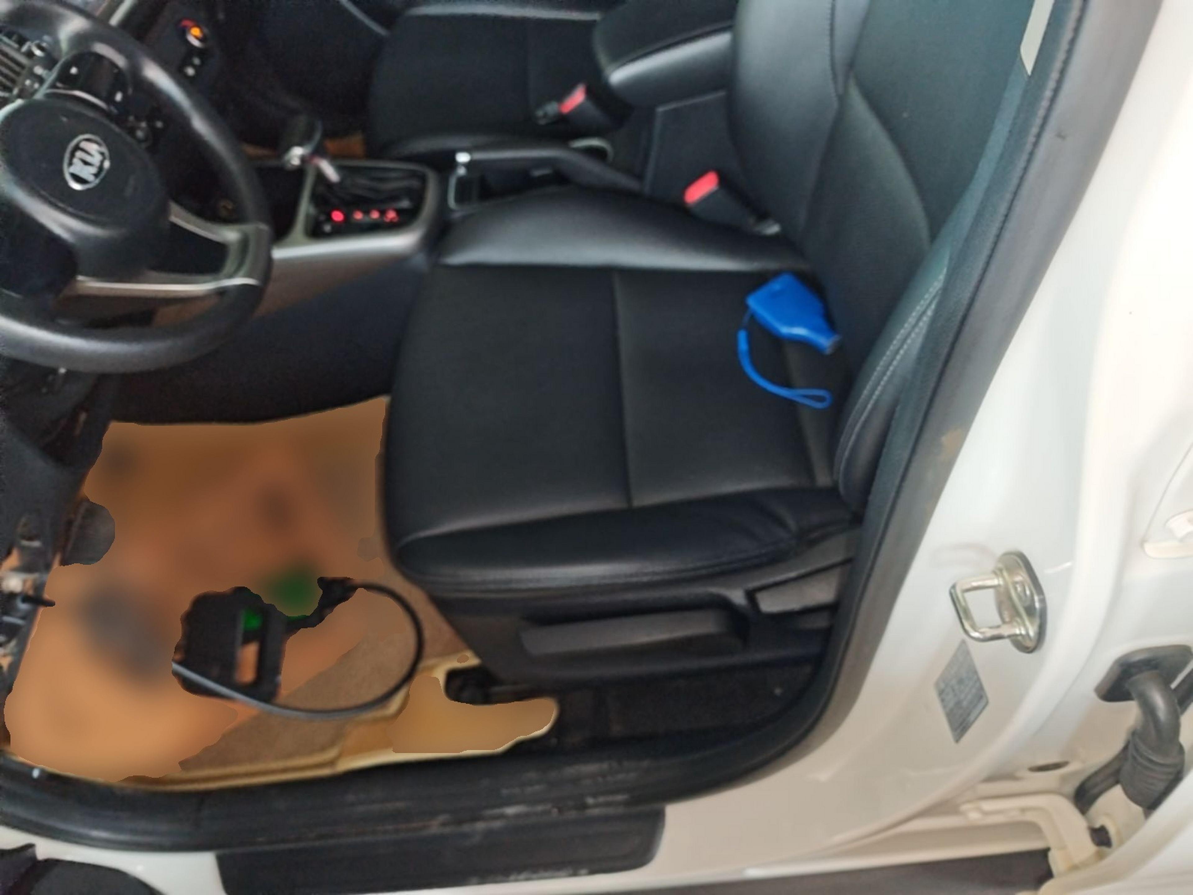 Interior delantero