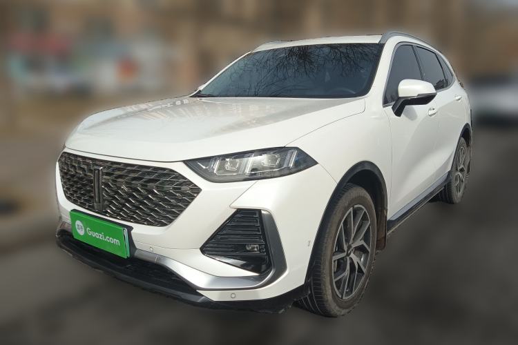 Used Wey Latte DHT-PHEV 2022 1.5T Two-Wheel-Drive Extra-Large Version