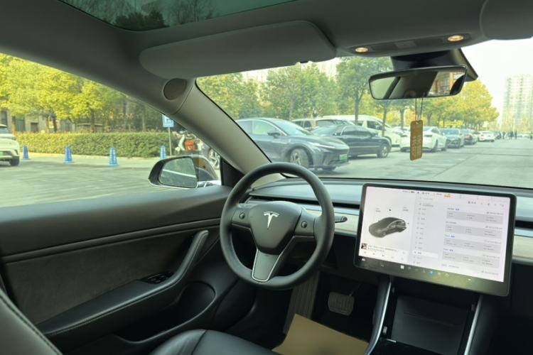 Used Tesla Model 3 (Import) 2019 Long-Range Rear-Wheel-Drive Version