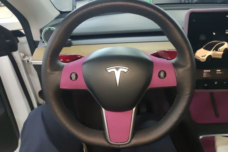 Used Tesla Model Y 2021 Long-Range All-Wheel-Drive Version