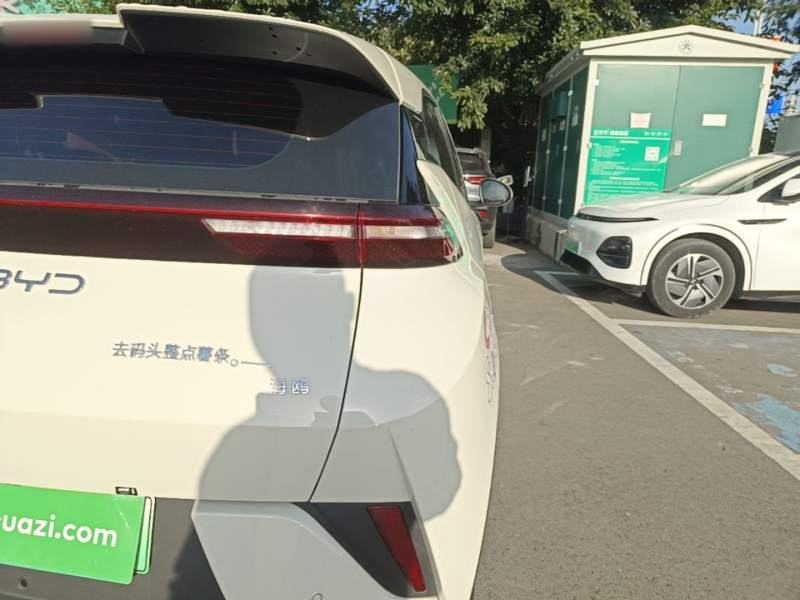 Used BYD Seagull 2025 Intelligent Driving Version 305 km Dynamic Edition — 7