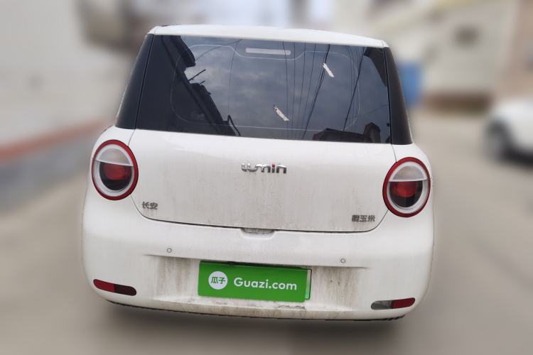 Used Qiyuan Lumin 2025 205 km Xiangqin Version
