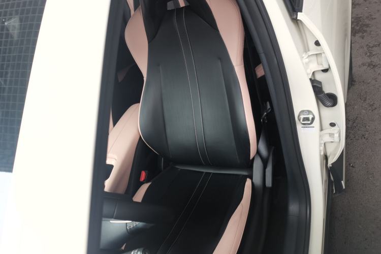 Used BYD Seagull 2023 Free Edition Left Front Seat