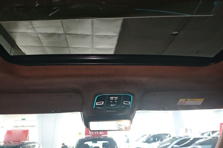 Used Tank 700 New Energy 2024 Hi4-T Extreme Edition Headliner