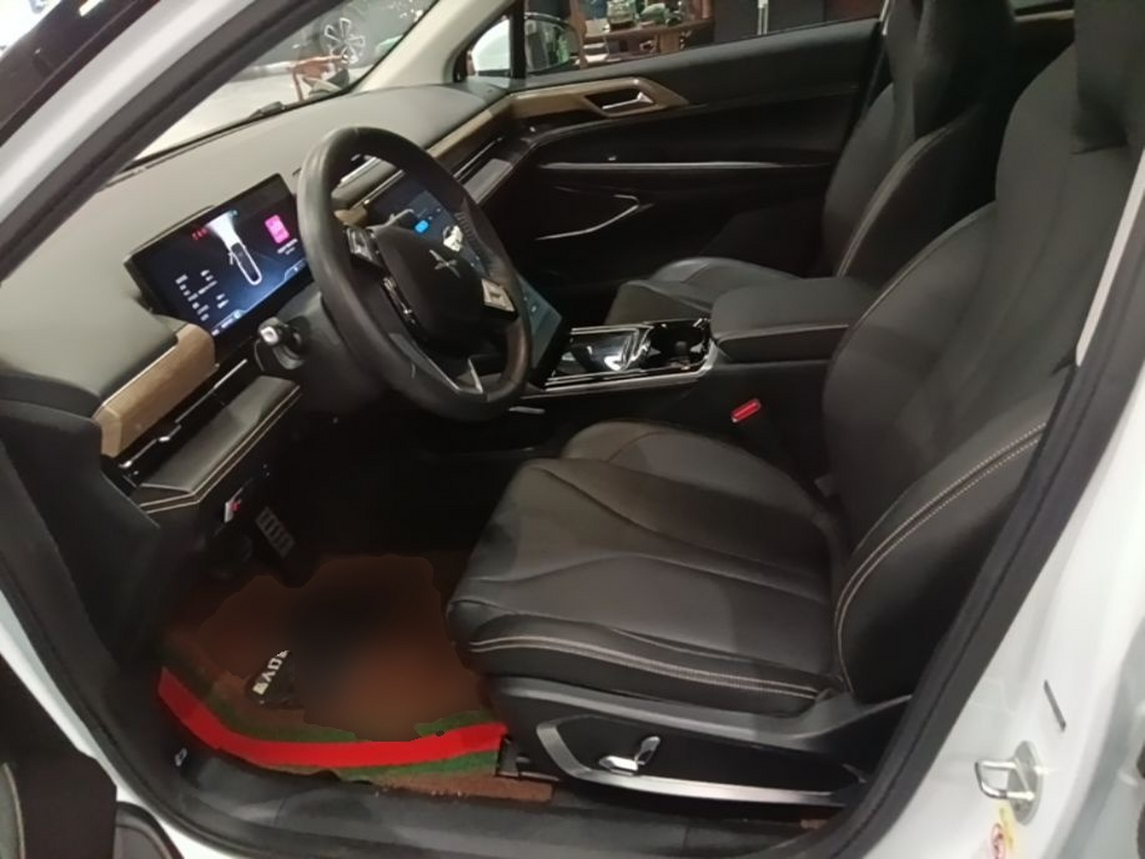 Interior delantero