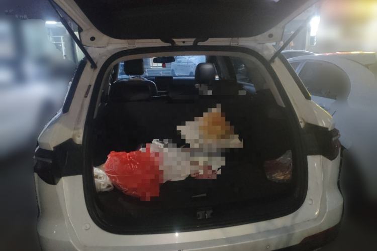 Used BYD Song 2021 Classic Edition 1.5T Automatic Elite Model Trunk