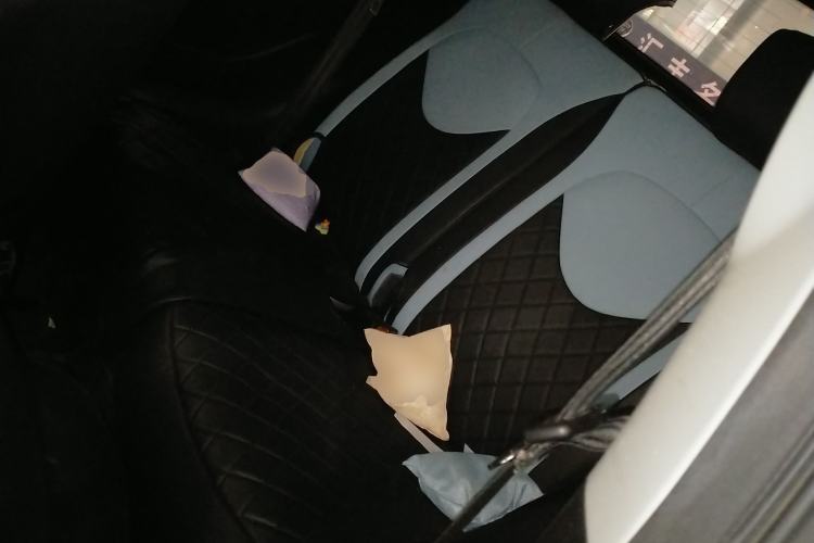 Used Chery Little Ant 2023 251km True Love Edition Lithium Iron Phosphate Left Rear Seat