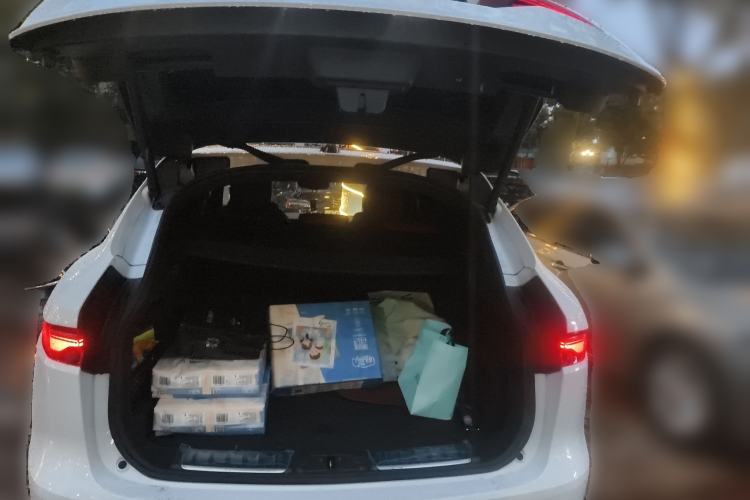 Used Jaguar F-PACE 2024 P250 R-Dynamic SE Trunk