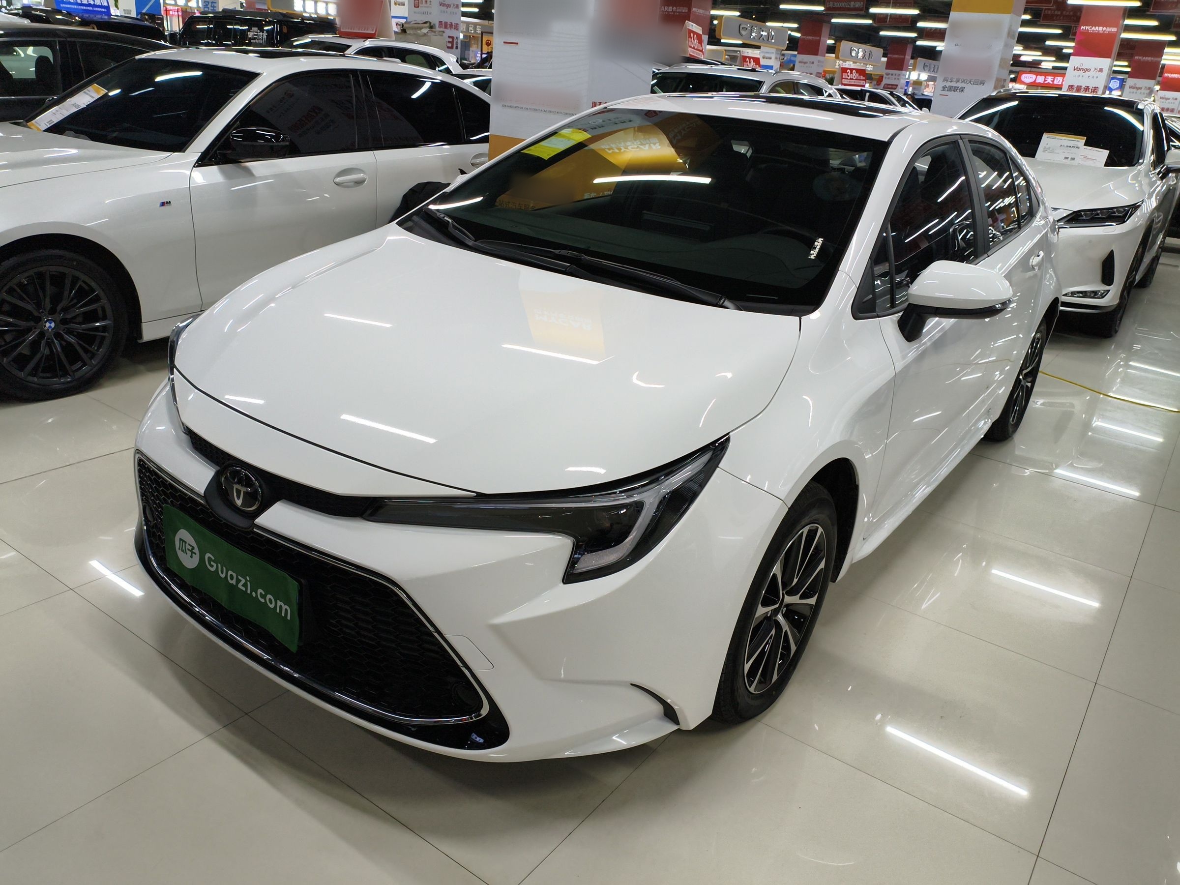 Under Front Bumper