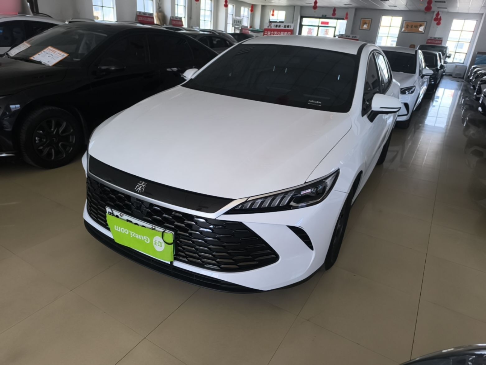 Under Front Bumper