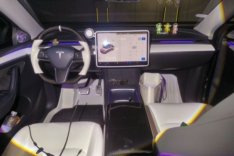 Used Tesla Model Y 2021 Standard Range Rear-Wheel Drive Version