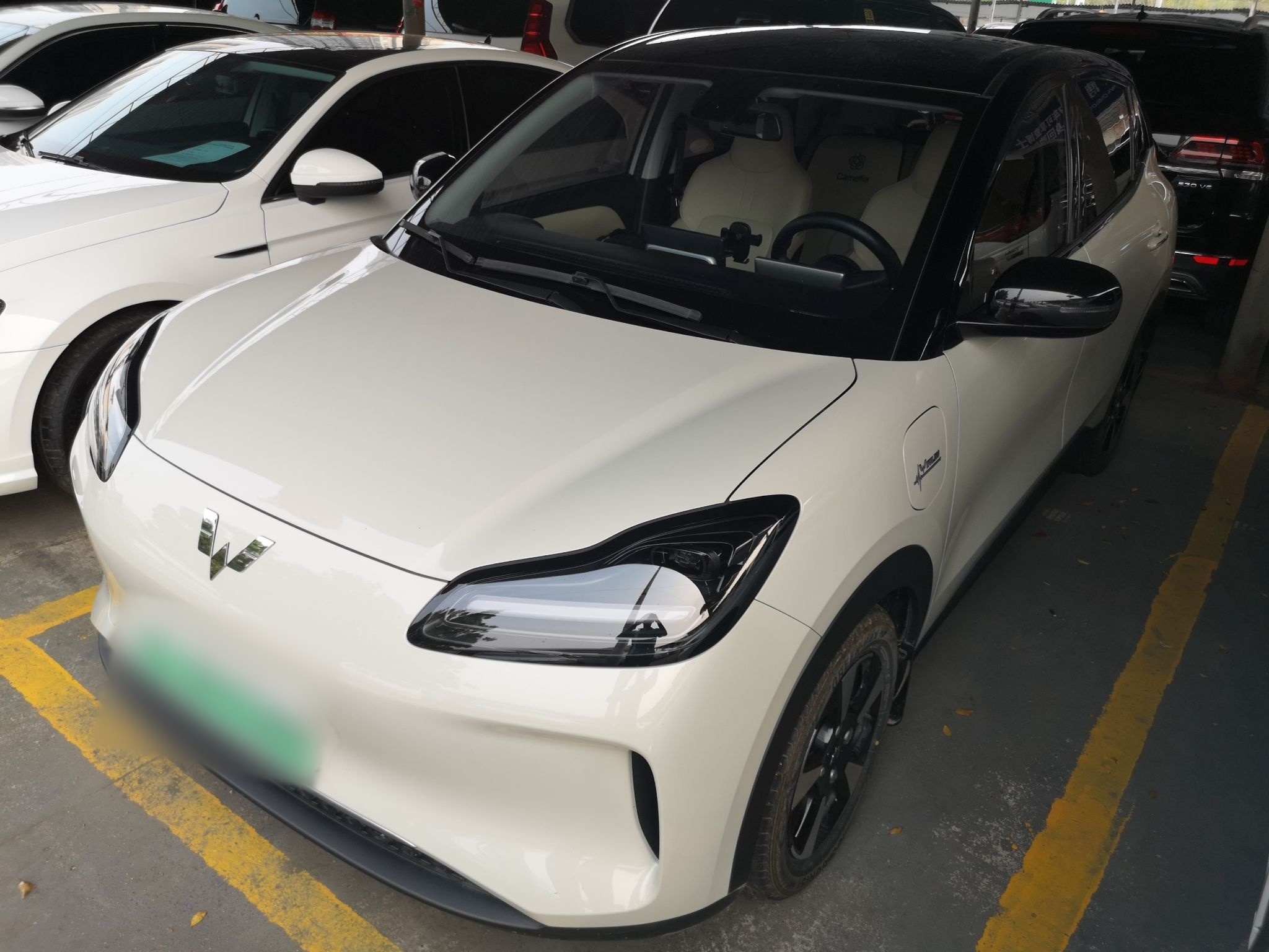 تحت مقدمة السيارة