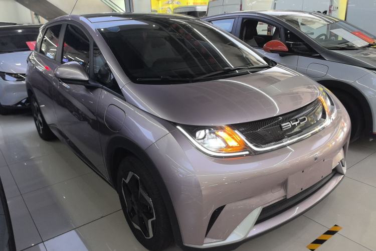 Used BYD Dolphin 2021 405 km Free Version
