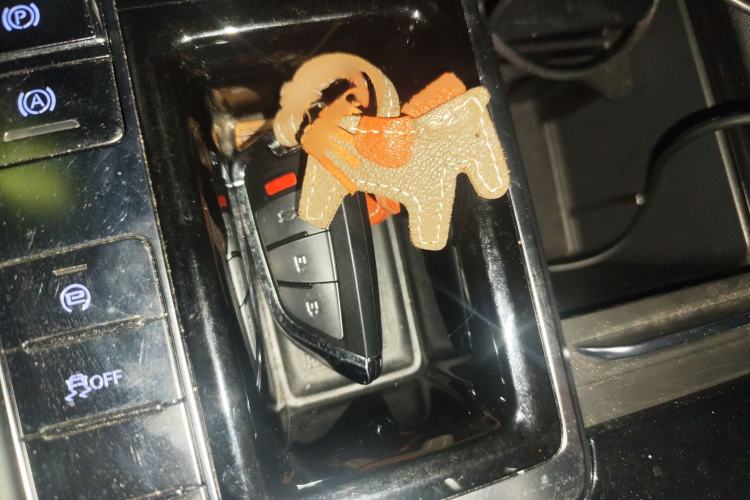 Used Roewe RX8 2019 30T Two-Wheel Drive Supreme Flagship Edition
