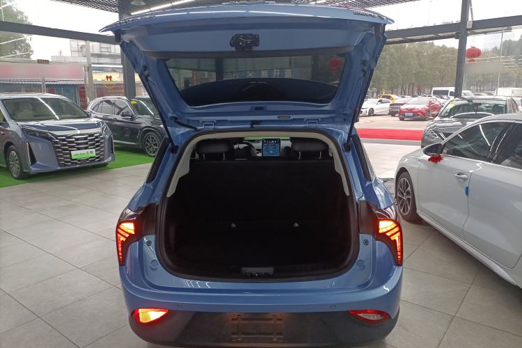 Used NETA V 2021 Long-Range Industry Custom Edition