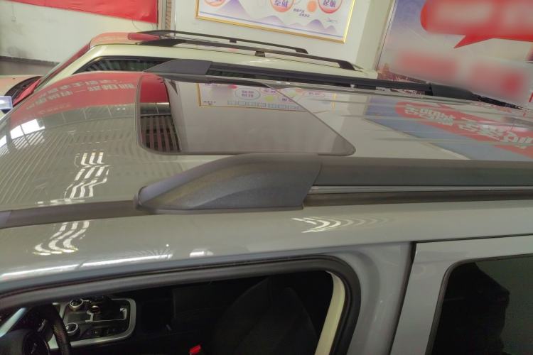 Used Tank 300 2024 2.0T Conqueror