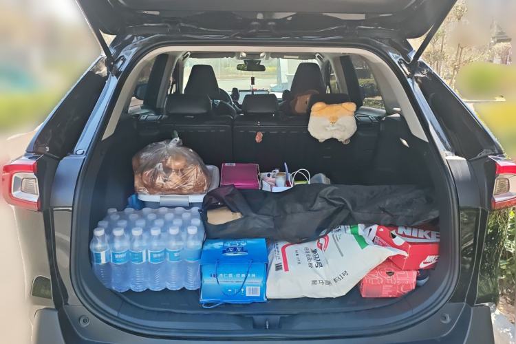 Used Toyota Wildlander 2024 2.0L CVT Two-Wheel Drive Leading Edition
