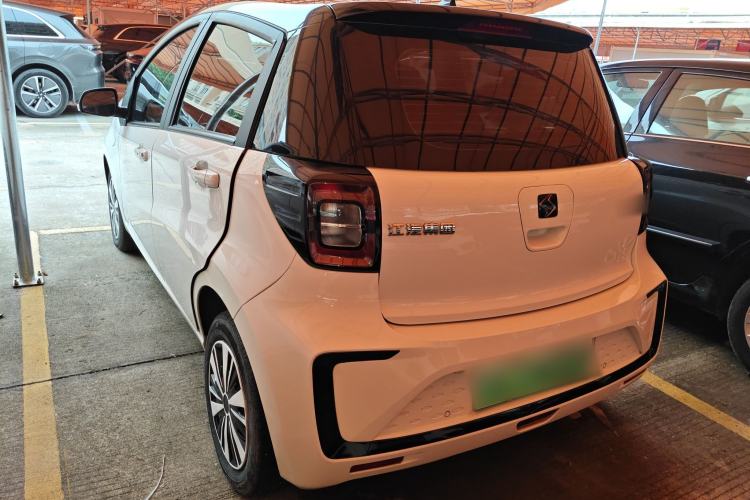 Used SOL E10X 2022 Flower Fairy Design Four-Leaf Clover Rear Left 45 Deg