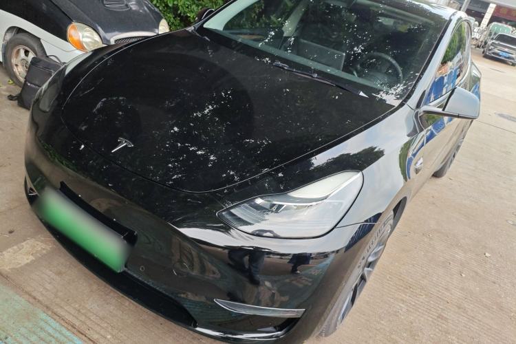 Used Tesla Model Y 2021 Standard Range Rear-Wheel Drive Version