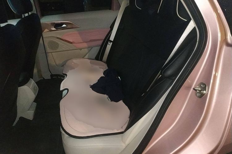 Used Geometry E Firefly 2023 401 km Super-Liked Special Edition 5 Seats