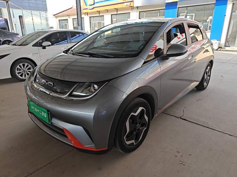 Used BYD Dolphin 2021 405 km Fashion Edition — 1