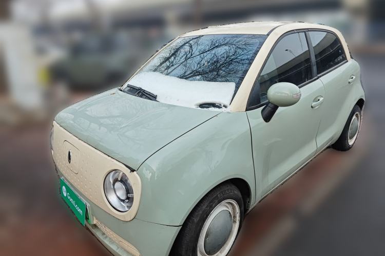 Used ORA Black Cat 2019 310km Fun Edition