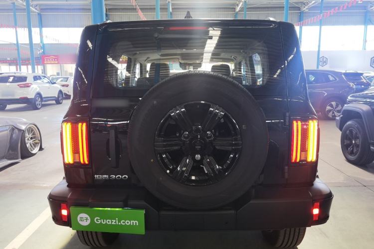 Used Tank 300 2025 2.0T Conqueror
