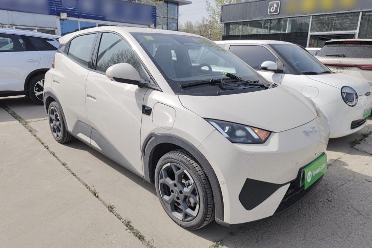 Used BYD Seagull 2025 Smart Drive Version 305 km Freedom Edition
