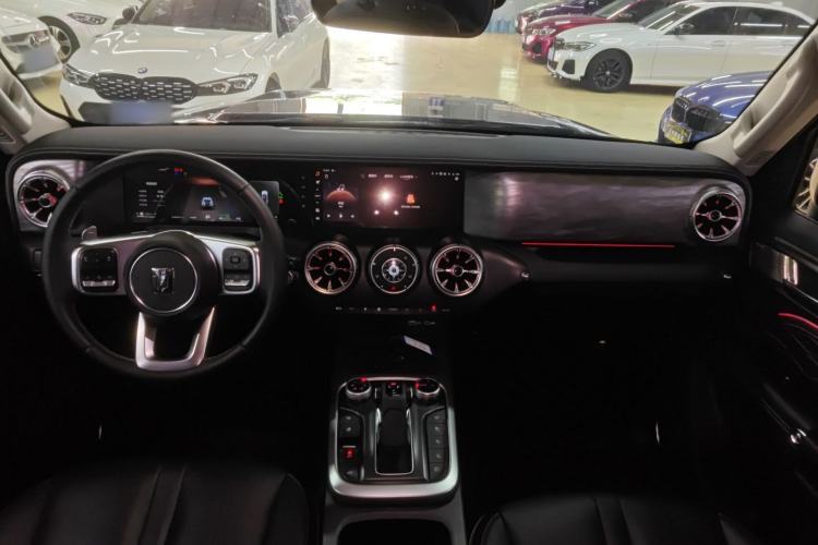 Used Tank 300 2024 2.0T Crosser