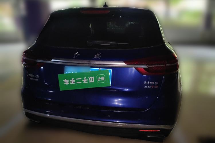 Used Hongqi HS5 2019 2.0T Smart Connect Flagship All-Wheel-Drive Version Rear