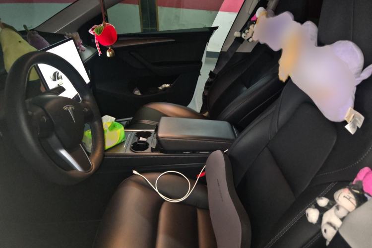 Used Tesla Model Y 2021 Long-Range All-Wheel-Drive Version