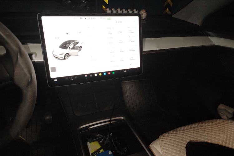 Used Tesla Model Y 2021 Standard Range Rear-Wheel Drive Version
