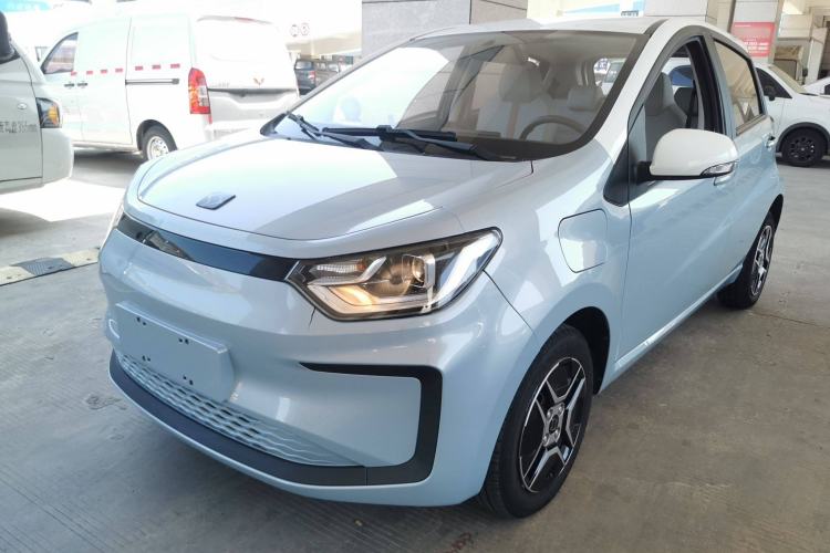 Used SOL E10X 2022 Flower Fairy Design Four-Leaf Clover