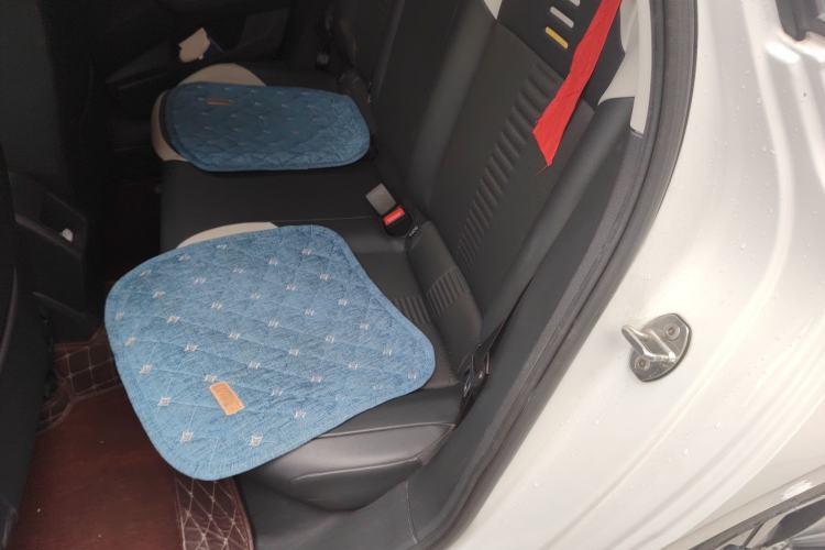 Used Volkswagen Polo 2019 Plus 1.5L Automatic Beats Trendy Cool Edition Left Rear Seat