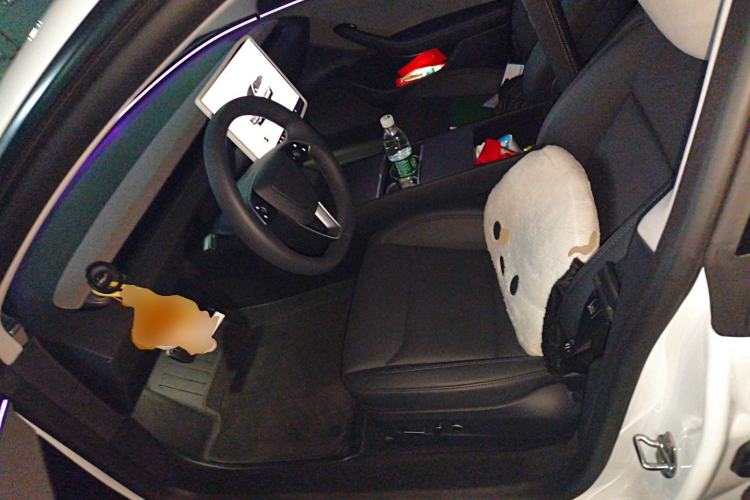 Used Tesla Model 3 2025 Rear-Wheel-Drive Version