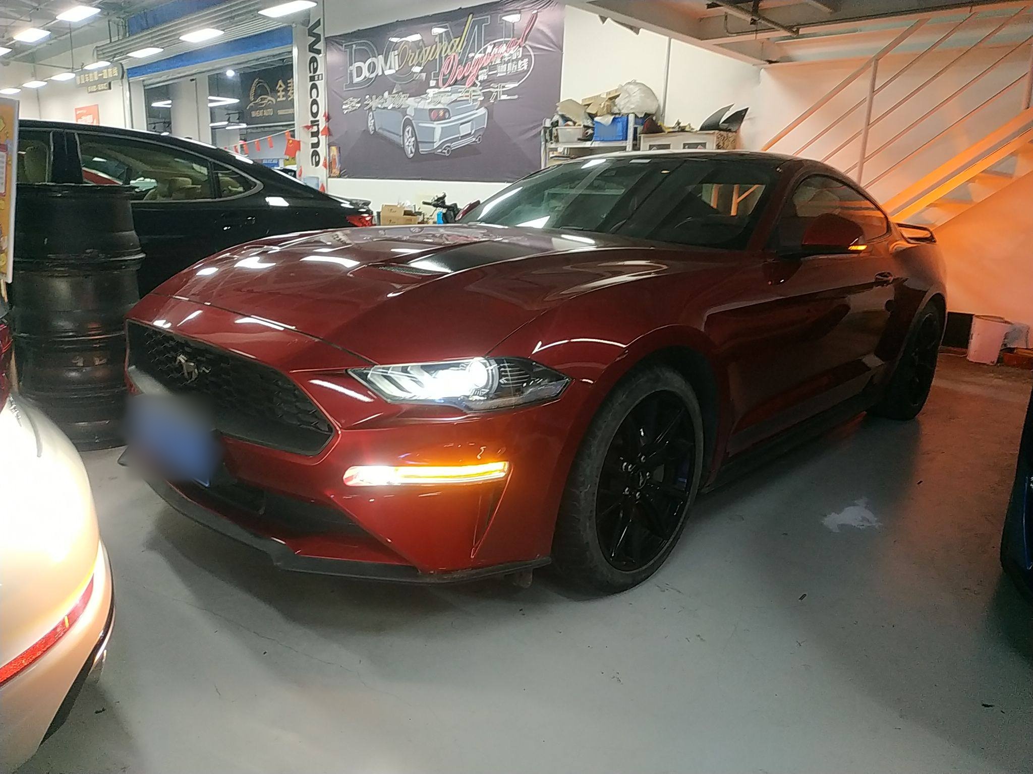 تحت مقدمة السيارة