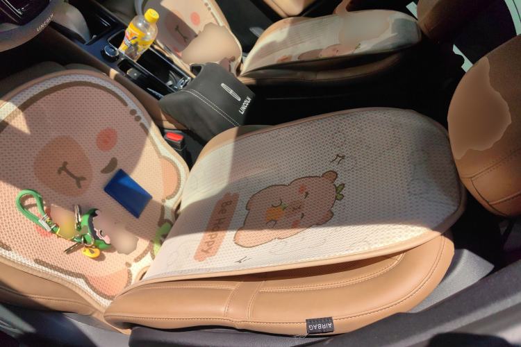 Used Lincoln Corsair 2020 2.0T Four-Wheel Drive Prestige Edition Left Front Seat