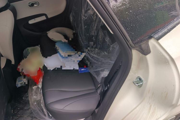 Used Dongfeng NAMMI 01 2025 330KM Youth Edition