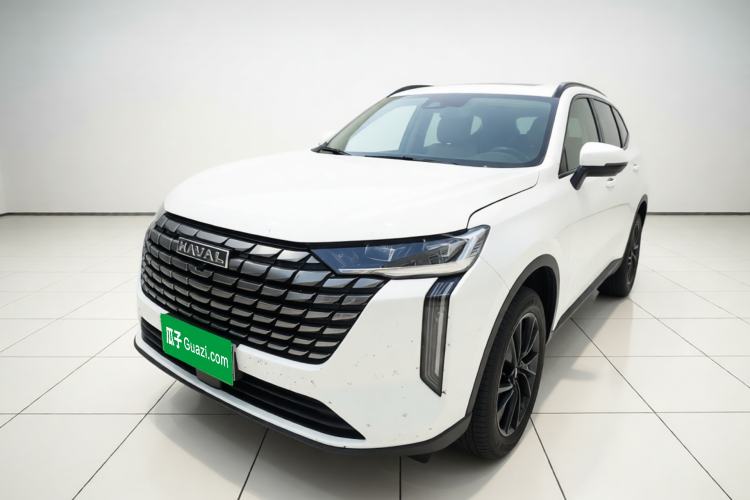 Used Haval H6 2024 1.5T Two-Wheel Drive Max