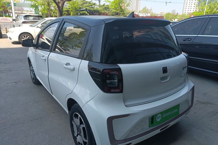 Used SOL E10X 2022 Flower Fairy Style Baby's Breath
